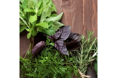 Image Fresh culinary herbs and botanicals on wooden table.